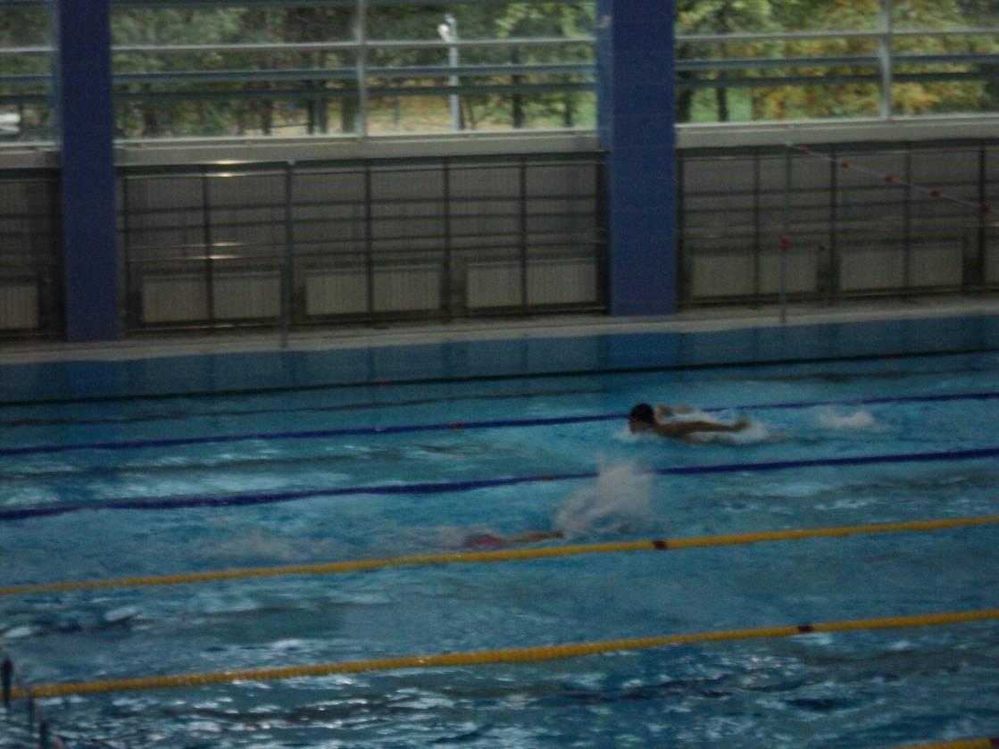913.jpg